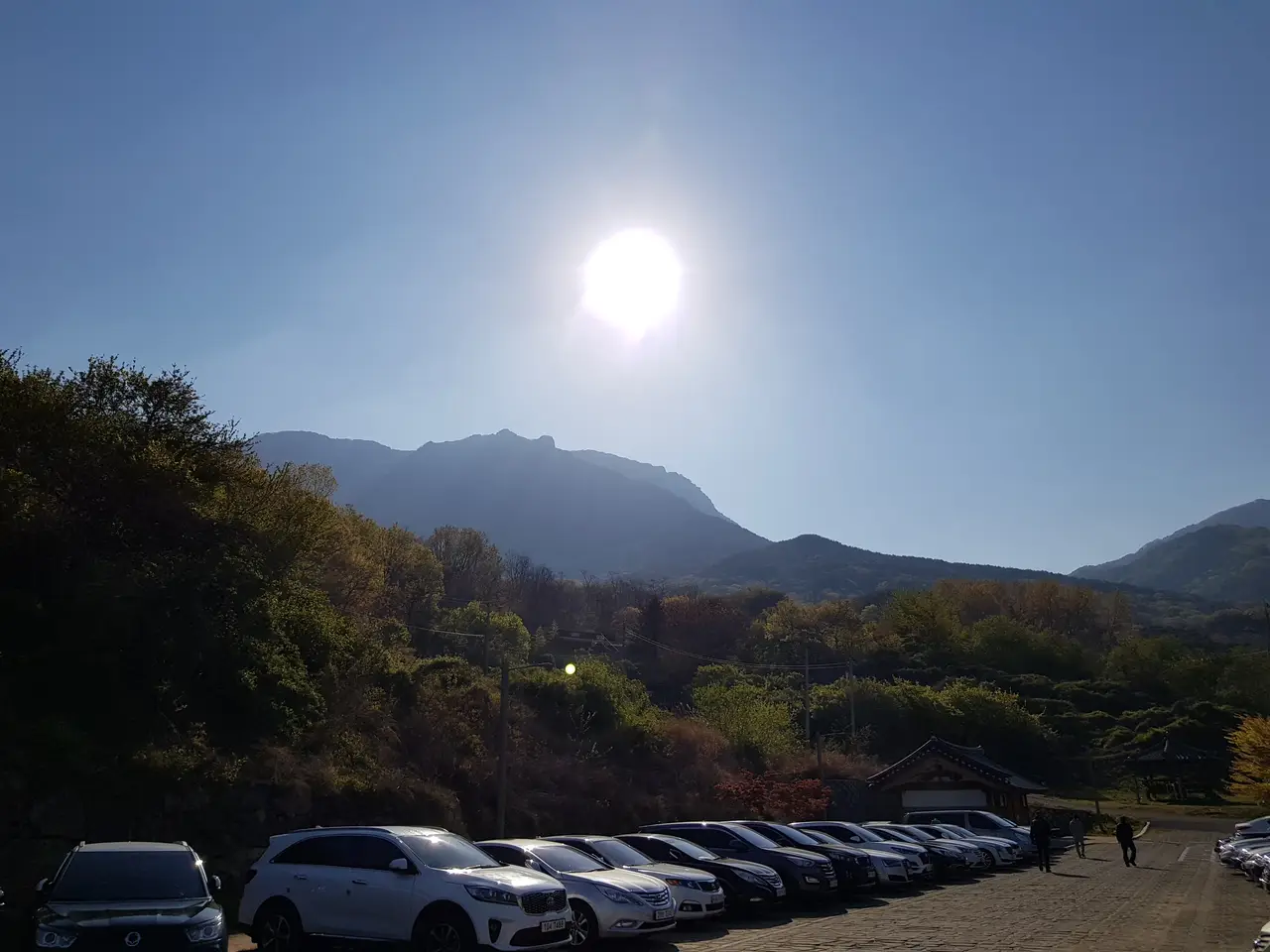 2020년 아쉬운 비슬산 참꽃. 유가사=>천왕봉=>참꽃군락지=>유가사 코스 작업 사진 2