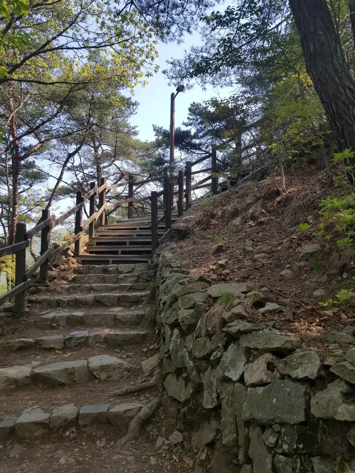 (앞산 등산 다이어트 1일차) 시작은 90kg입니다. 작업 사진 8