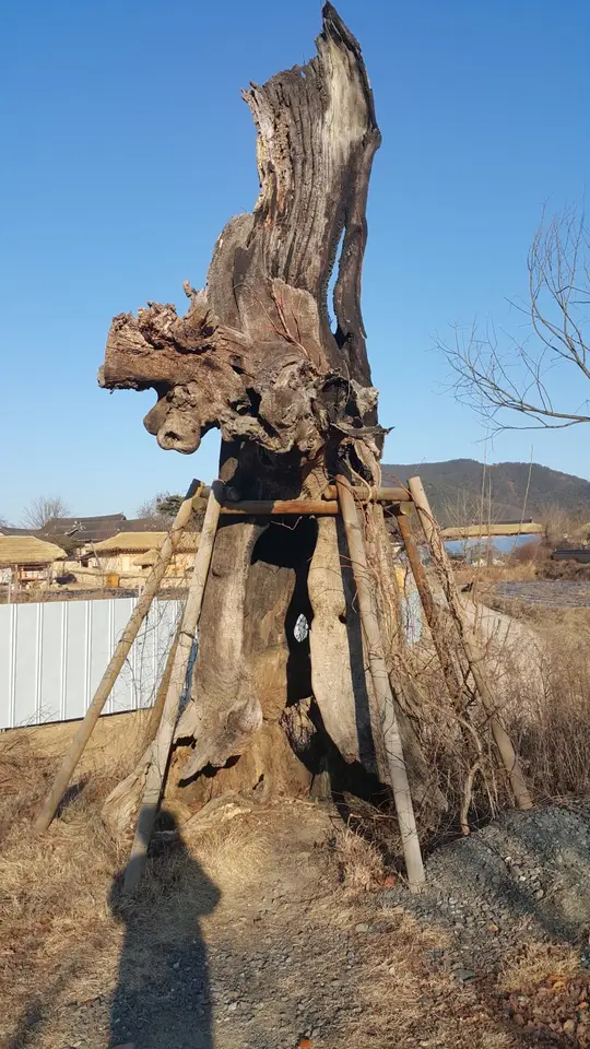 <안동 하회마을> 추운날 갔더니 얼굴이 떨어지는 줄... 작업 사진 24