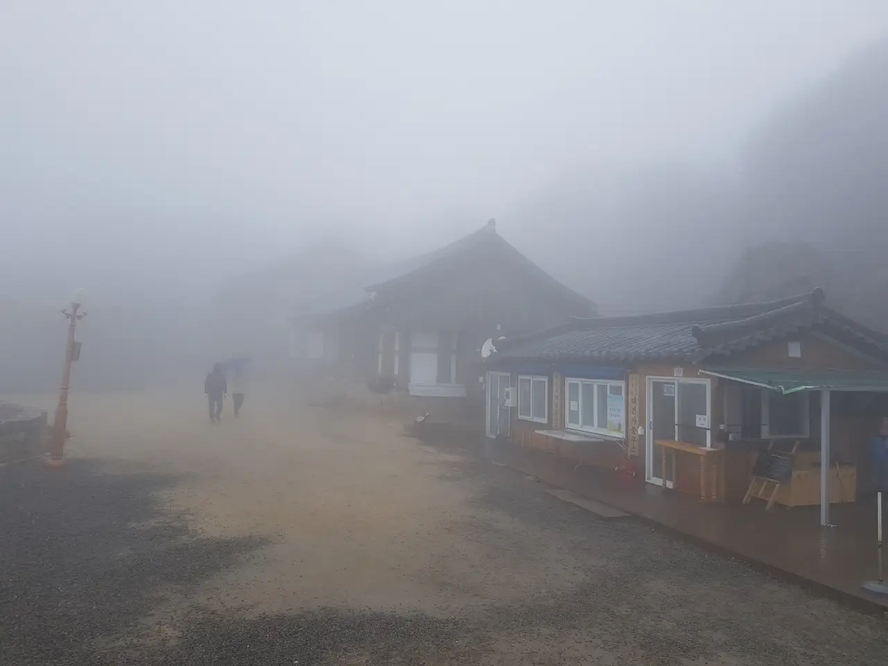 (5점) 대구 비슬산 참꽃. 비슬산자연휴양림 공영주차장->대견사 코스. 작업 사진 28
