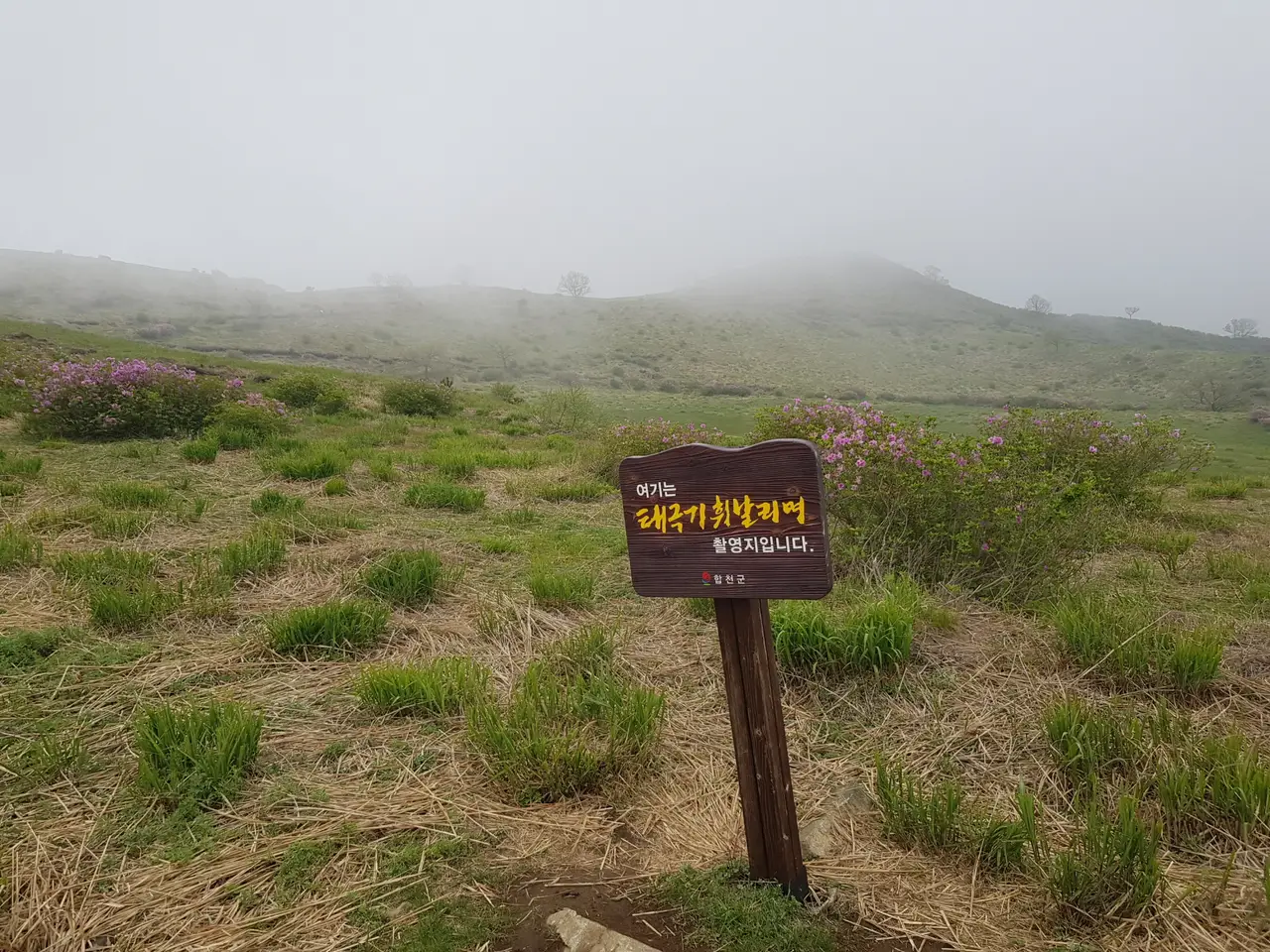 (5점) 5월 놓치면 안 되는 봄꽃 여행지 경남 합천 '황매산 철쭉' 작업 사진 13