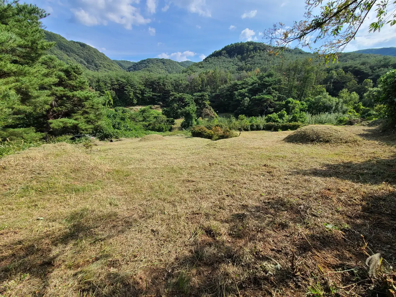 (벌초 대행) 영천 신녕면 화성리, 대창면 직천리, 청통면 치일리 벌초 작업 사진 6