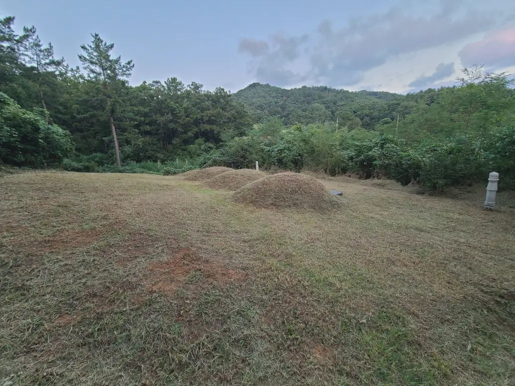 (벌초 대행) 영천시 고경면, 대창면, 북안면, 신녕면, 임고면, 청통면, 화남면, 화북면, 화산면 벌초 후기. 가격. 작업 사진 14