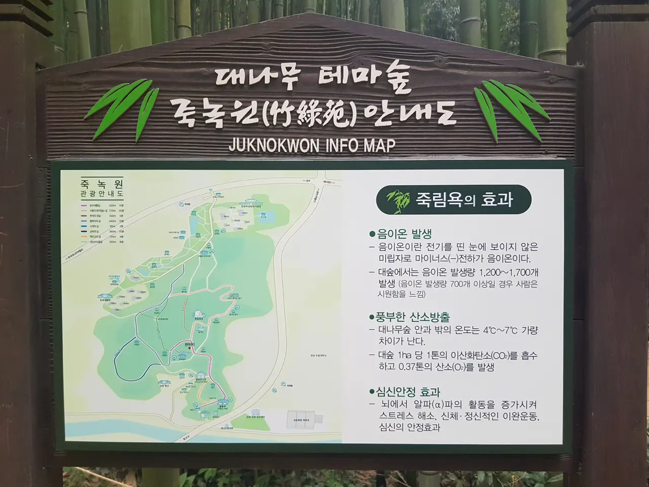 (5점) 전남 담양 '죽녹원' 이 정도는 되어야 대나무 숲이지~ 작업 사진 8