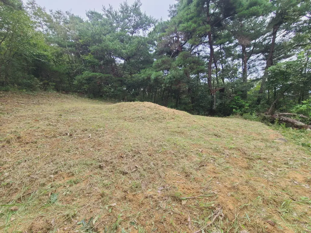 구미시 장천면 2곳 벌초 대행 다녀왔습니다. 벌초 가격은 얼마? 작업 사진 2