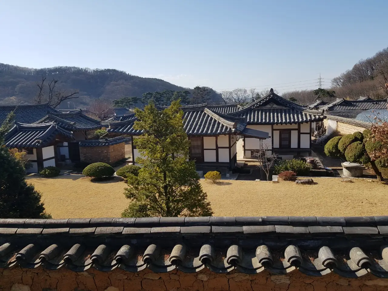 <3월 대구여행> 달성군 화원읍  홍매화가 이쁜 '남평 문씨 본리 세거지' 작업 사진 3