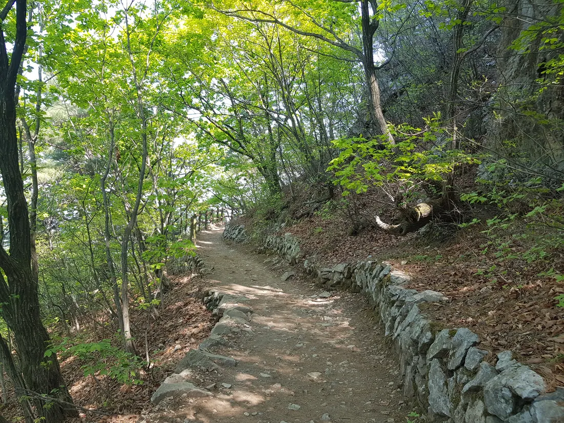 (앞산 등산 다이어트 1일차) 시작은 90kg입니다. 작업 사진 7