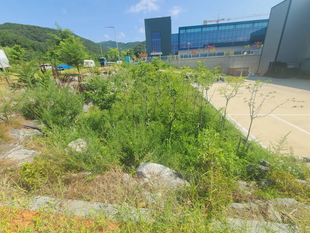 대구 동구 공장 화단 정리 및 인도 블럭 잡초 제거 작업. 작업 사진 4