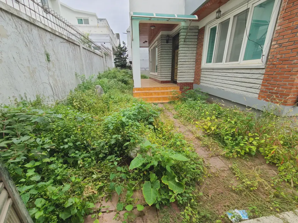 대구 남구 대명동, 청도군 이서면 주택 마당 제초 작업. 작업 사진 3