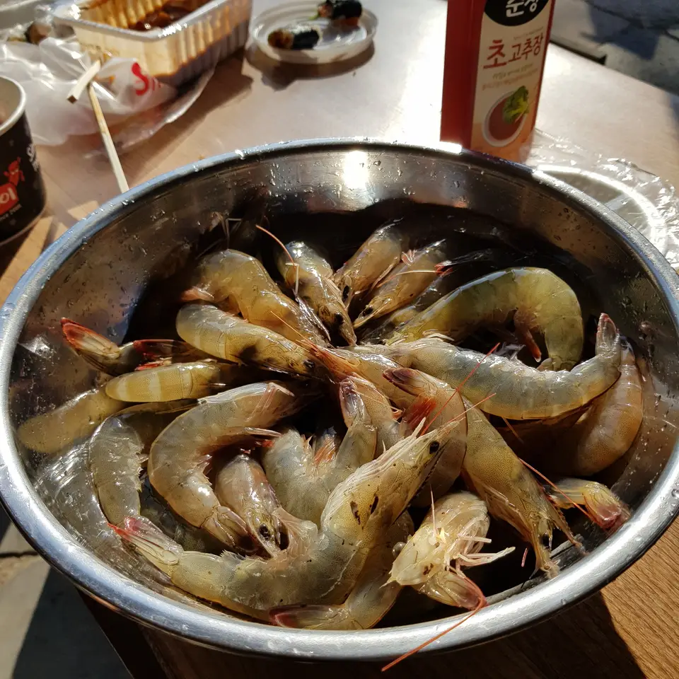 (5점) 충남 아산.  한옥 민박이 가능한 민속마을인 '외암마을'의 여름과 가을. 작업 사진 10