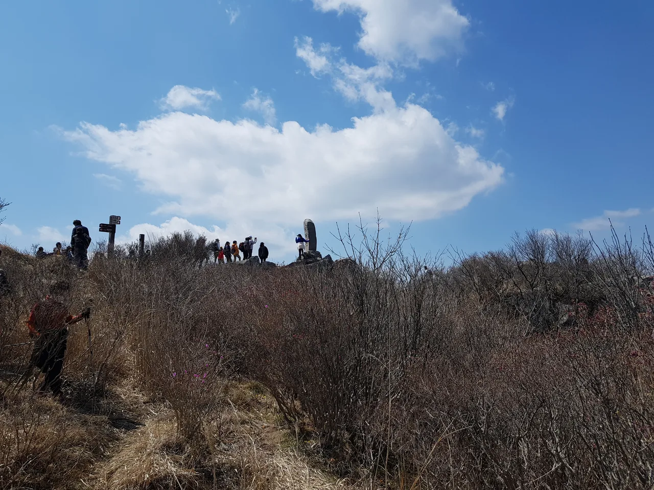 2020년 아쉬운 비슬산 참꽃. 유가사=>천왕봉=>참꽃군락지=>유가사 코스 작업 사진 25