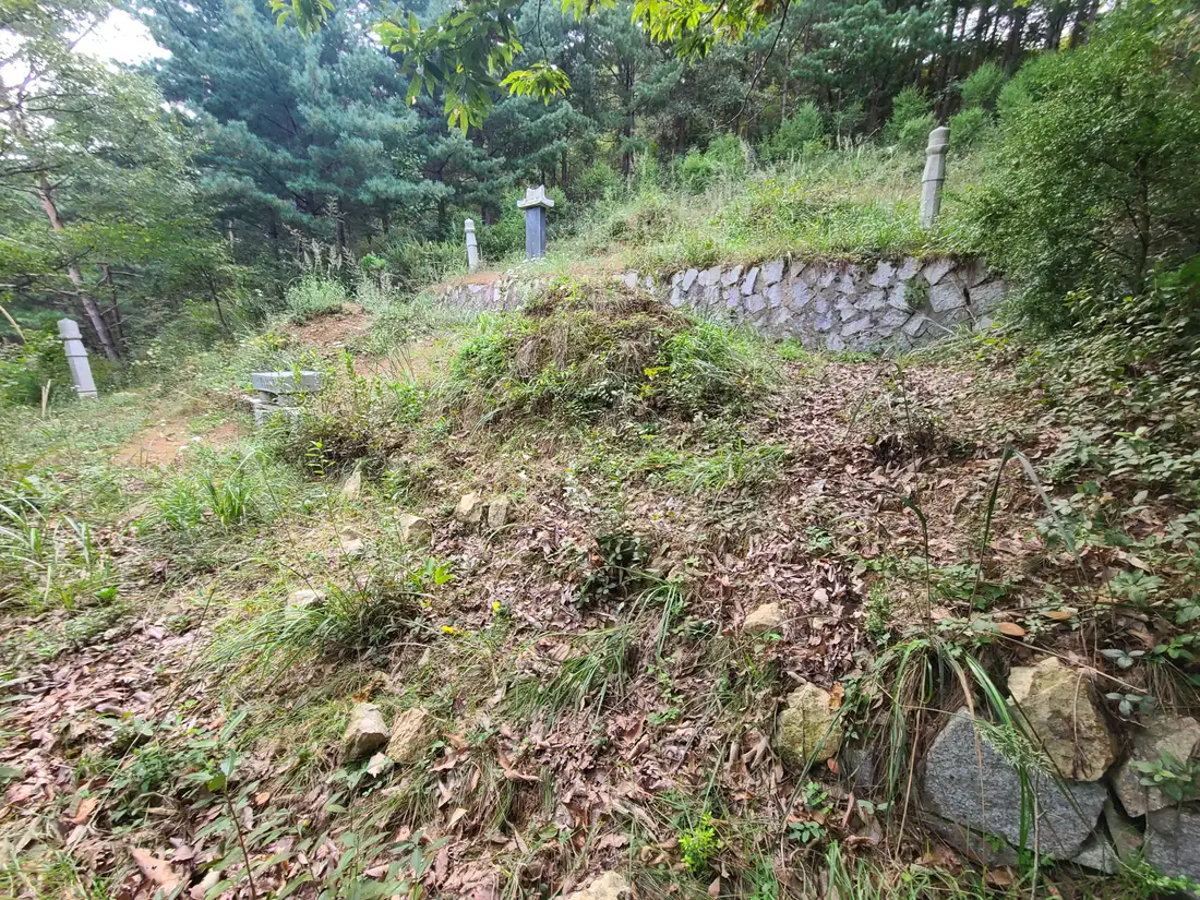 (벌초대행) 대구 달서구 대곡동, 도원동, 수성구 성동, 파동, 칠곡군 가산면 벌초. 작업 사진 9