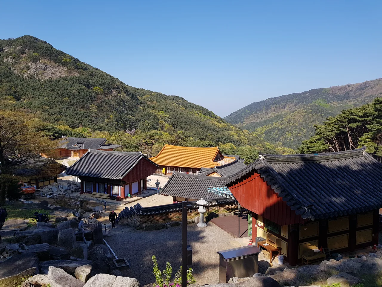 2020년 아쉬운 비슬산 참꽃. 유가사=>천왕봉=>참꽃군락지=>유가사 코스 작업 사진 10