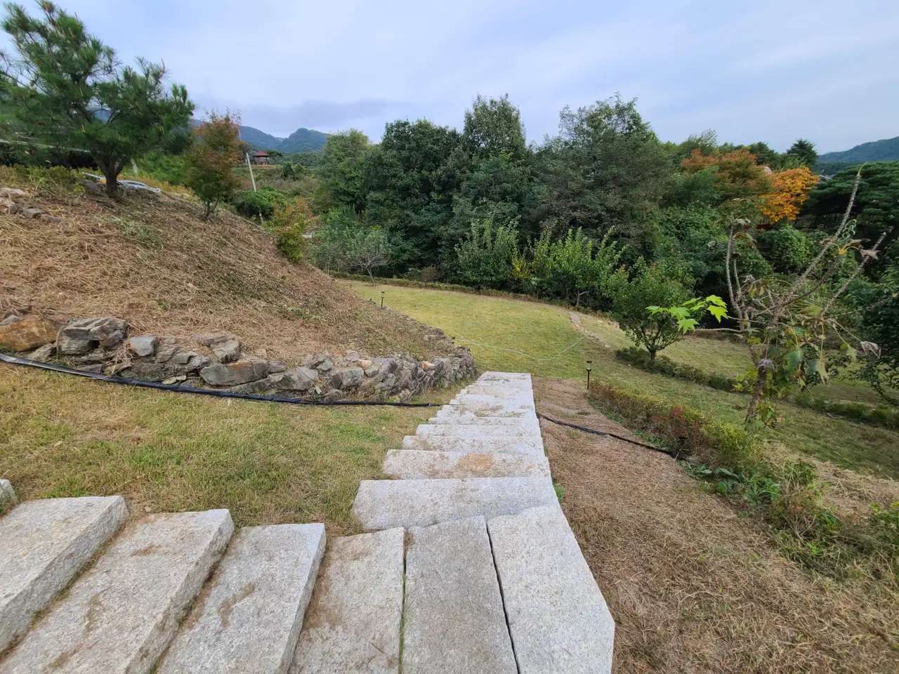 대구 주택 제초 작업 및 잔디 제초제 뿌림. 6개월동안 잡초 제거 및 예방. 잔디제초제 비용. 작업 사진 2