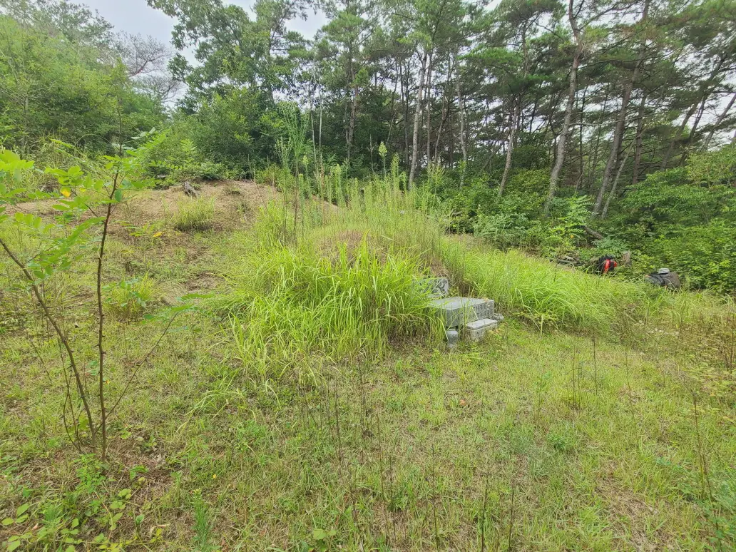 (벌초 대행) 영천시 고경면, 대창면, 북안면, 신녕면, 임고면, 청통면, 화남면, 화북면, 화산면 벌초 후기. 가격. 작업 사진 3