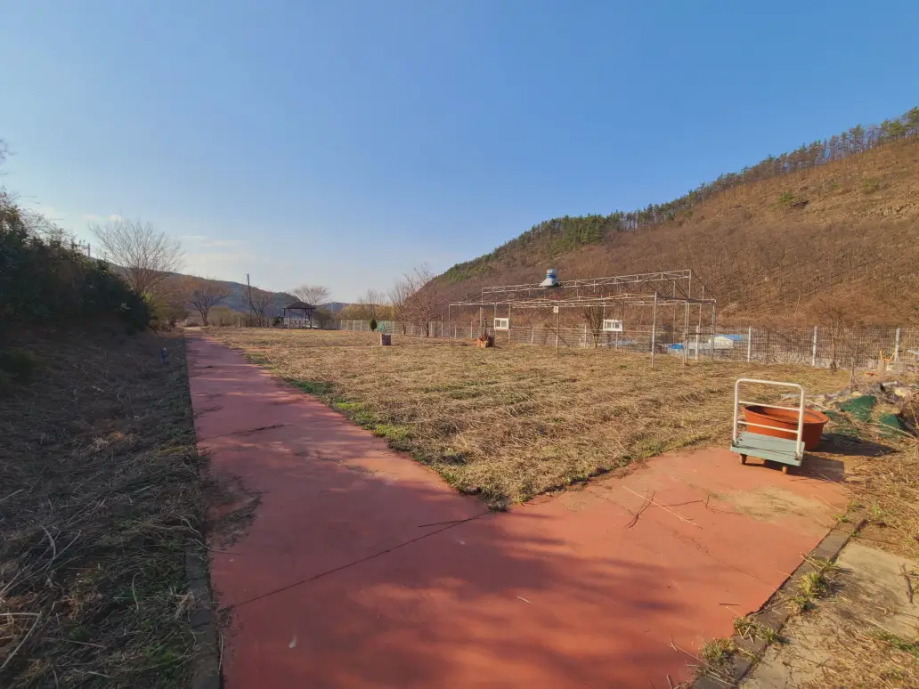 (텃밭 제초 작업) 대구 군위군 부계면 제초 작업 후기. 제초(예초) 작업 가격. 작업 사진 2