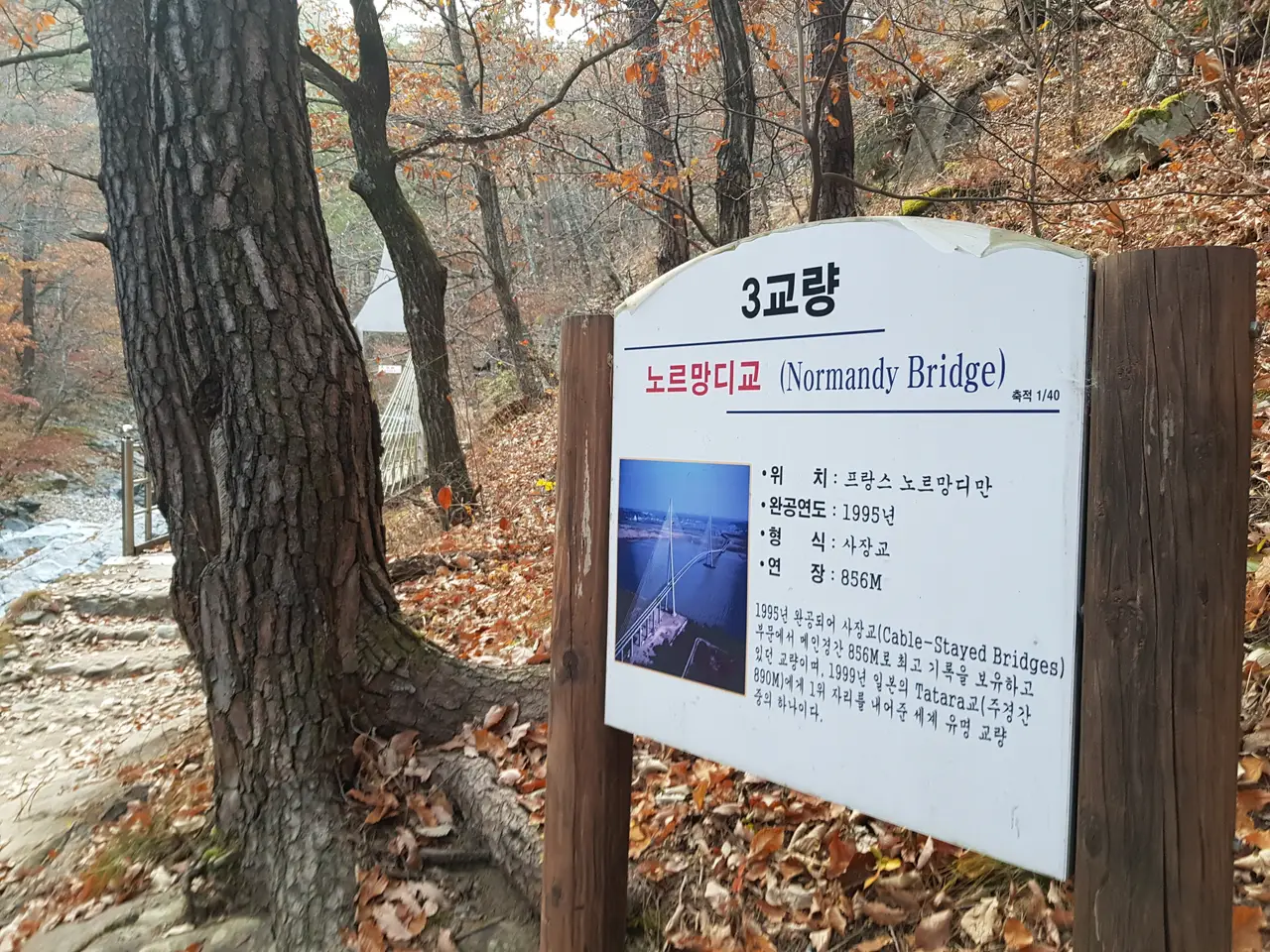 (4점) 울진군 북면 덕구온천. 트래킹 and 온천물 족욕 체험 '덕구계곡' 작업 사진 11