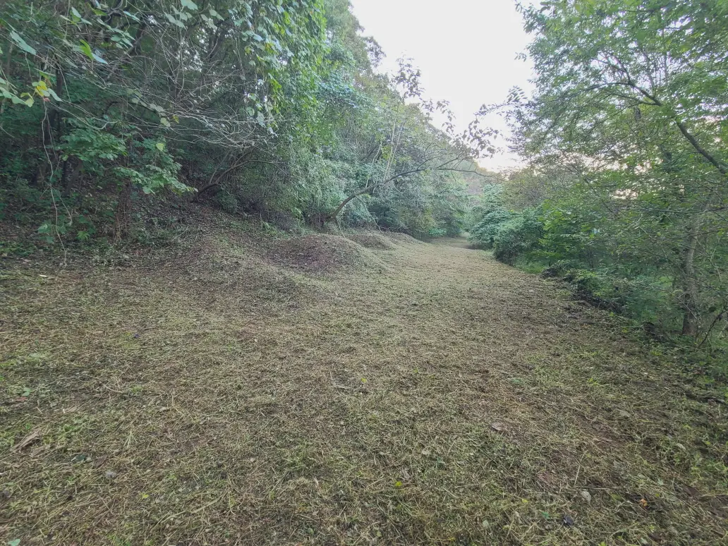 (벌초 대행) 영천시 고경면, 대창면, 북안면, 신녕면, 임고면, 청통면, 화남면, 화북면, 화산면 벌초 후기. 가격. 작업 사진 38
