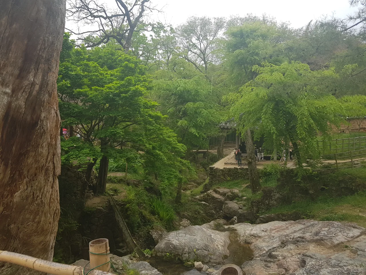 (4점) 전남 담양, 호남의 3대 정원 중 하나인 '양산보의 소쇄원'에 다녀오다 작업 사진 9