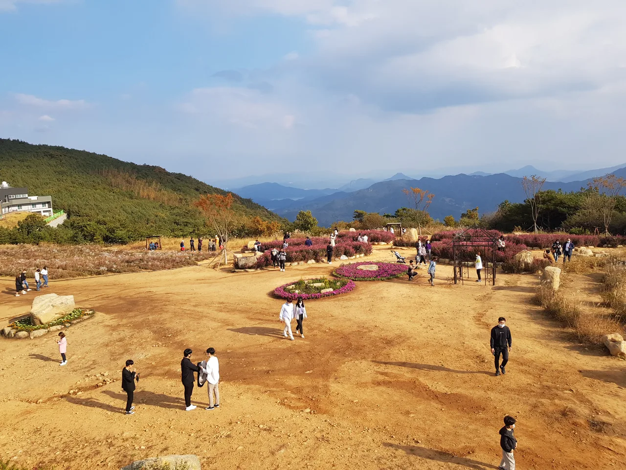 (1점) 경남 거창 감악산 국화. 분통 터지고 시간만 날리고 옴. 작업 사진 9