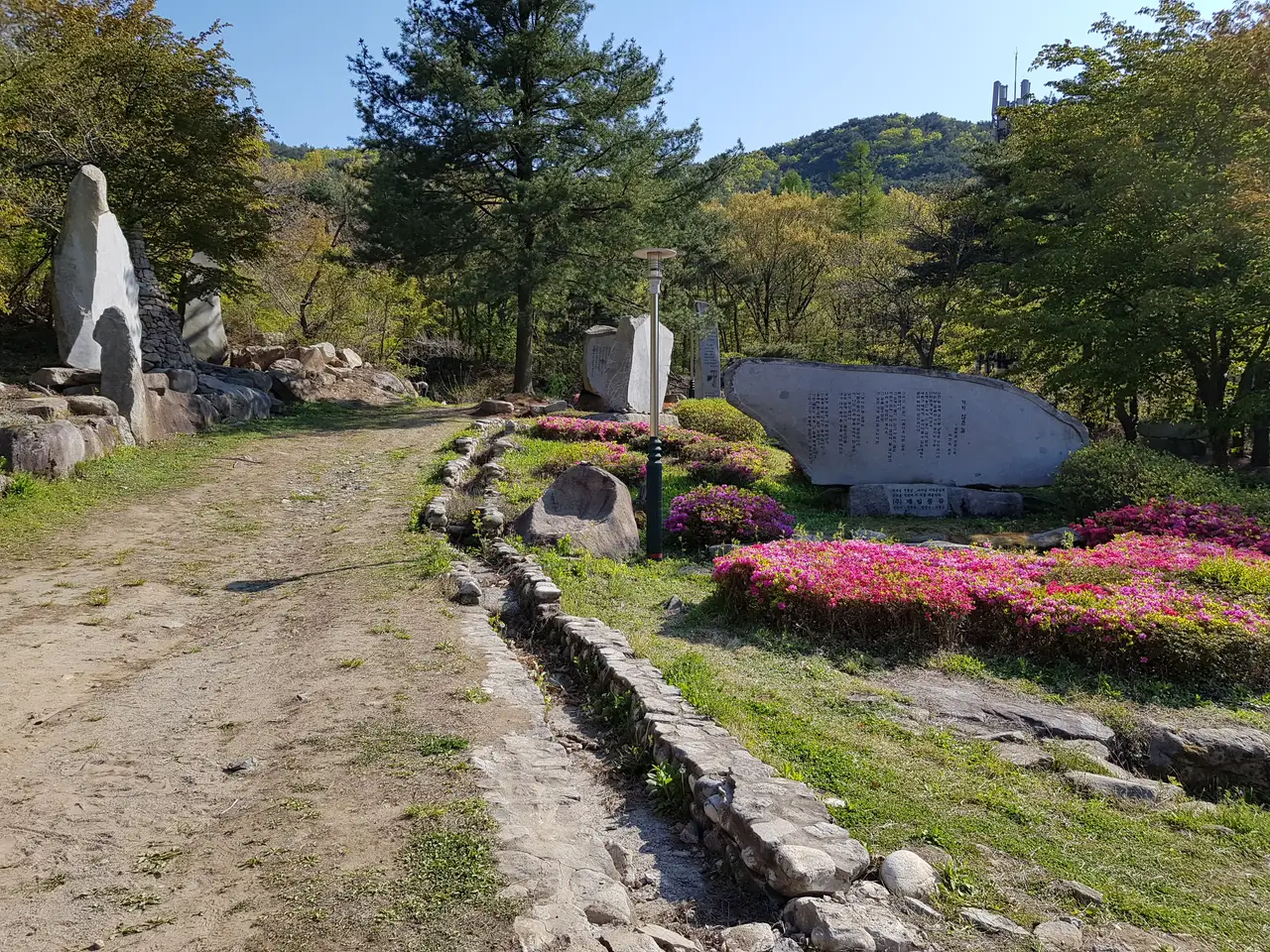 2020년 아쉬운 비슬산 참꽃. 유가사=>천왕봉=>참꽃군락지=>유가사 코스 작업 사진 77