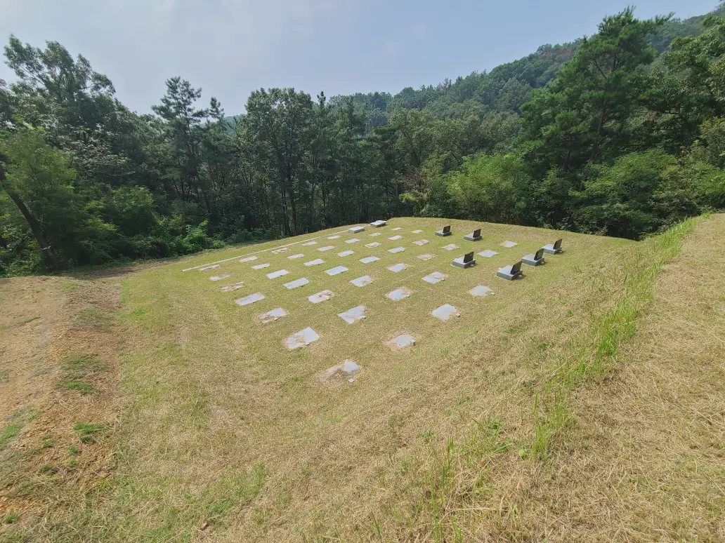 칠곡군 지천면 문중 산소 벌초하고 왔습니다. (벌초 가격) 작업 사진 2