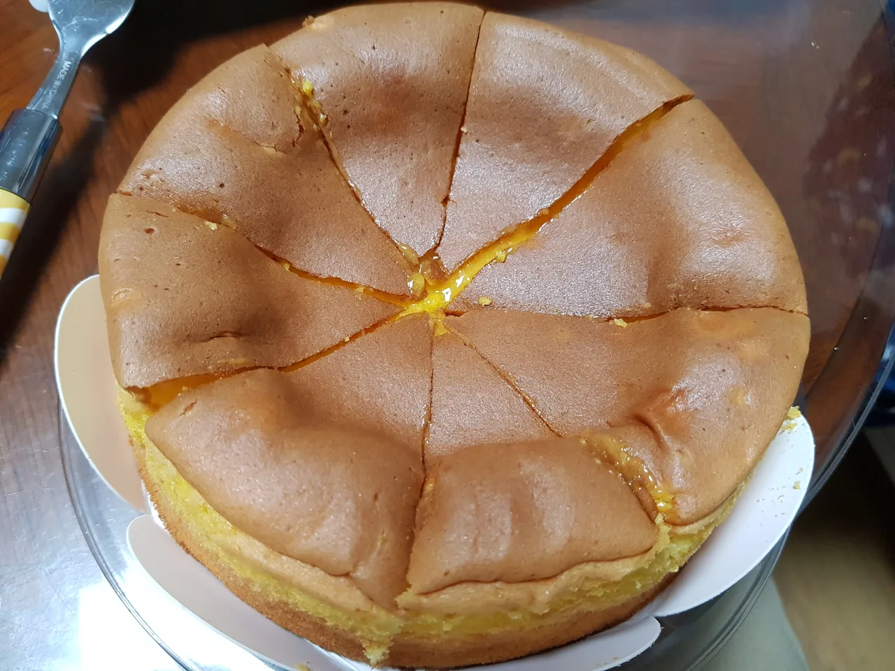 (5점) 대구 카스테라 맛집 비교. 서문카스테라 vs 삼덕동베이커리카페 작업 사진 10