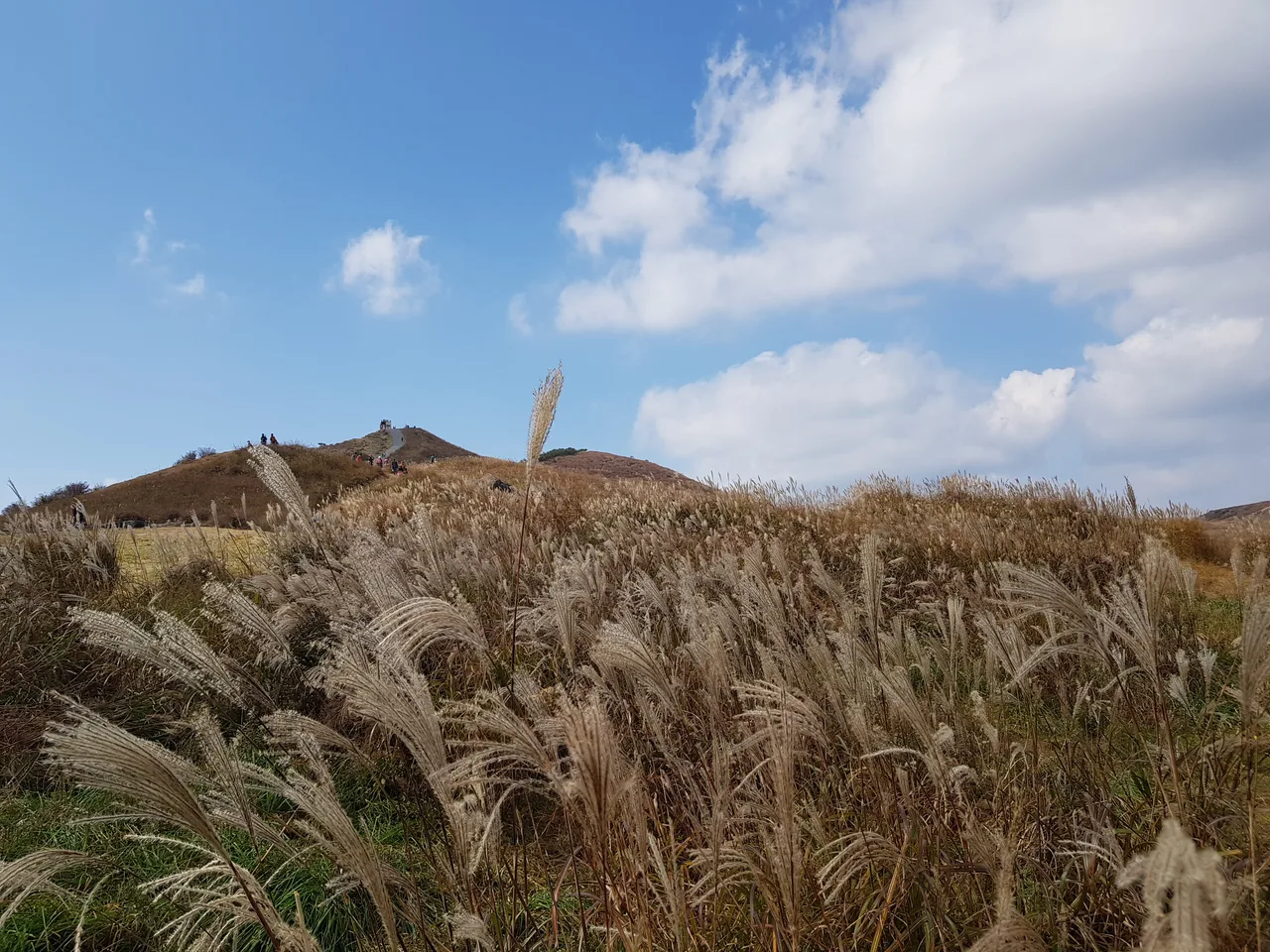 (5점) 경남 합천 황매산 억새 군락지. 가을철 여행가기 좋은 곳. 작업 사진 22