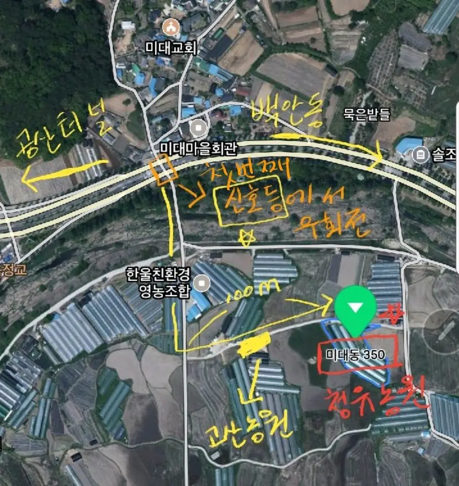 대구 팔공산 미나리 청유농원 미나리 판매 작업 사진 15