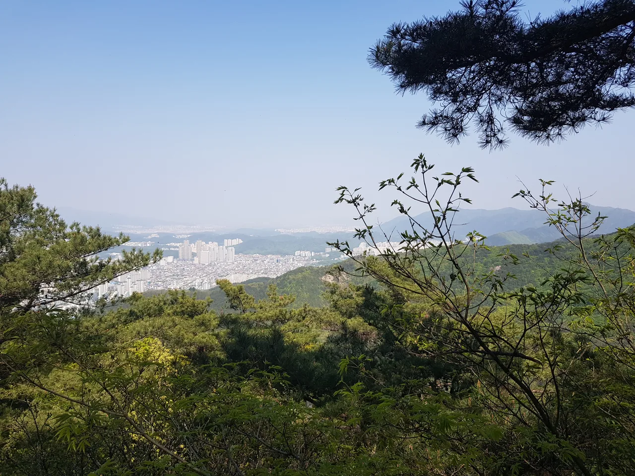 (앞산 등산 다이어트 1일차) 시작은 90kg입니다. 작업 사진 9