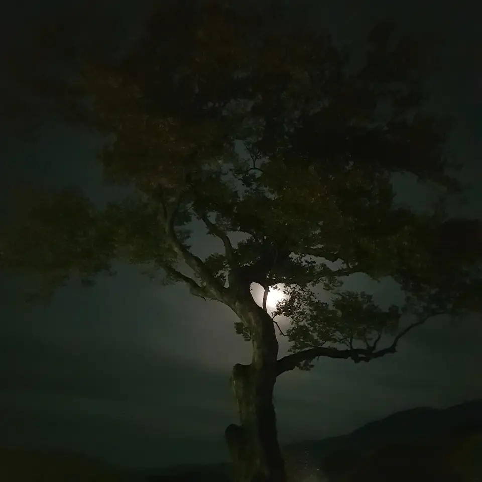 (5점) 충남 아산.  한옥 민박이 가능한 민속마을인 '외암마을'의 여름과 가을. 작업 사진 23