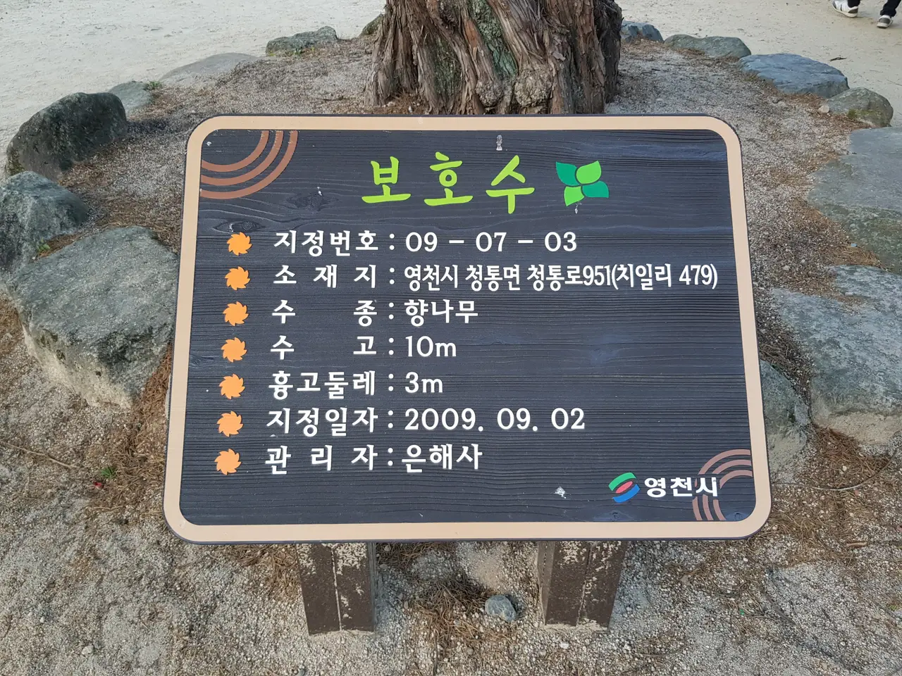 (4점) 영천시 청통면 팔공산 자락 천년고찰. '은해사' 걷기 좋은 곳. 작업 사진 12