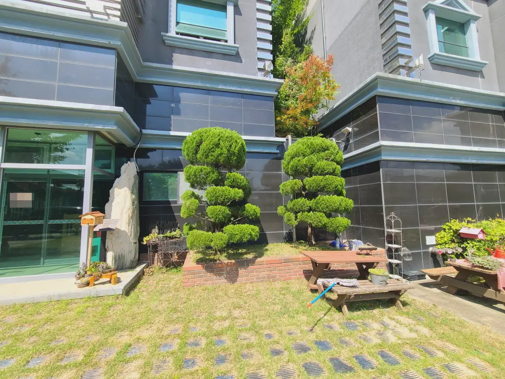 대구 동구 조경수 가지 정리 작업 다녀왔습니다. 작업 사진 2