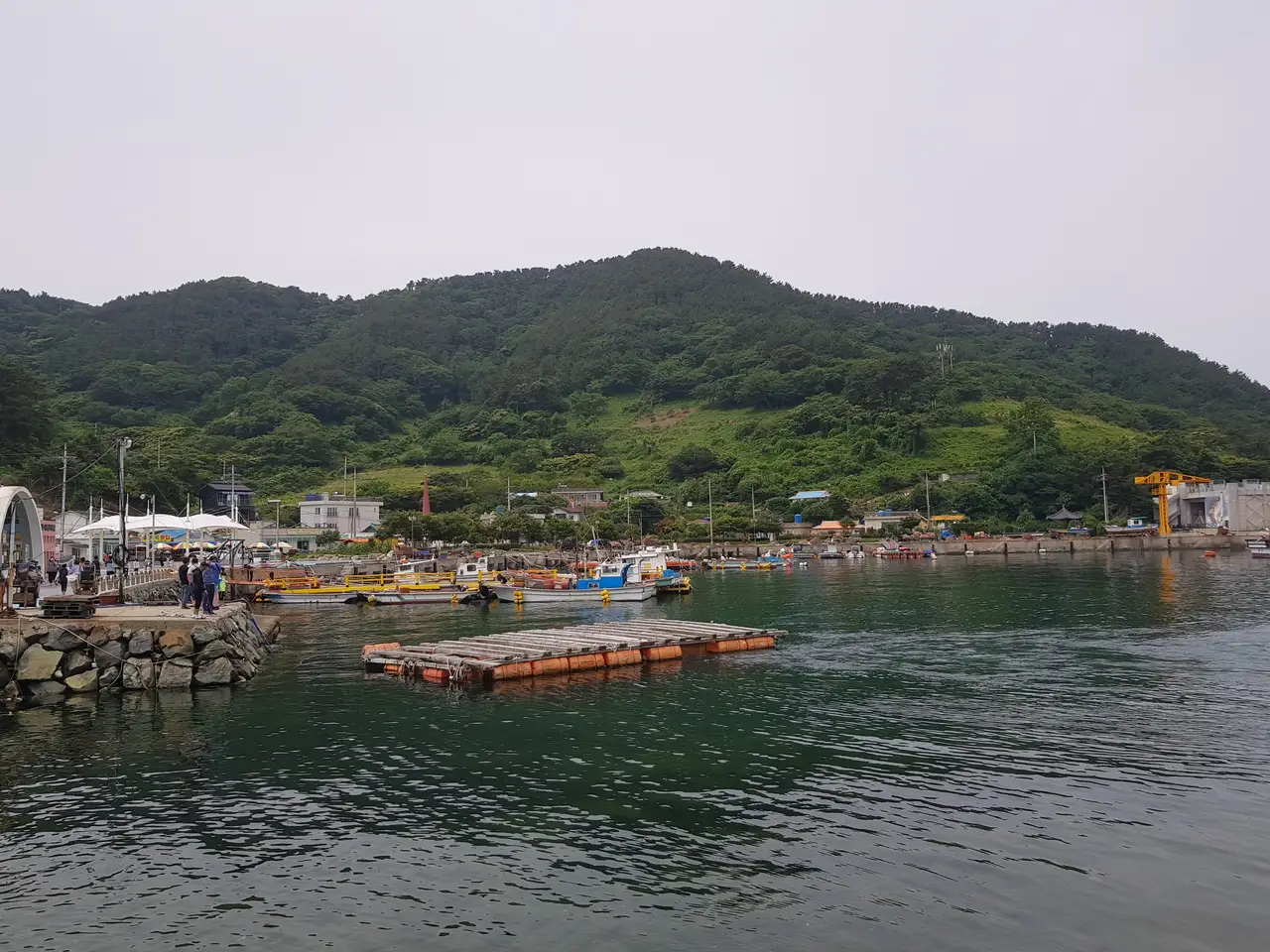 (5점) 6월 말~7월 초 경남 통영 추천 여행지. '연화도 수국 꽃 여행' 작업 사진 18