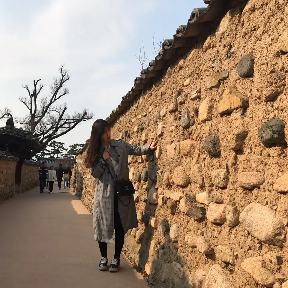 대구 3월달 매화꽃 사진 찍기 좋은 곳. 남평문씨본리세거지. 작업 사진 5