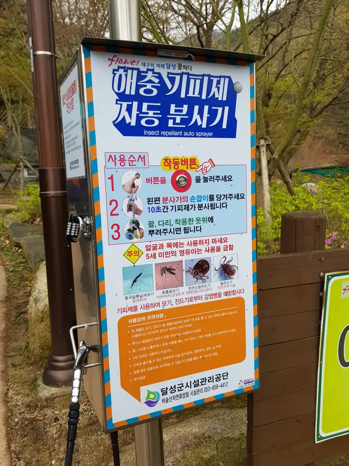 (5점) 대구 비슬산 참꽃. 비슬산자연휴양림 공영주차장->대견사 코스. 작업 사진 13