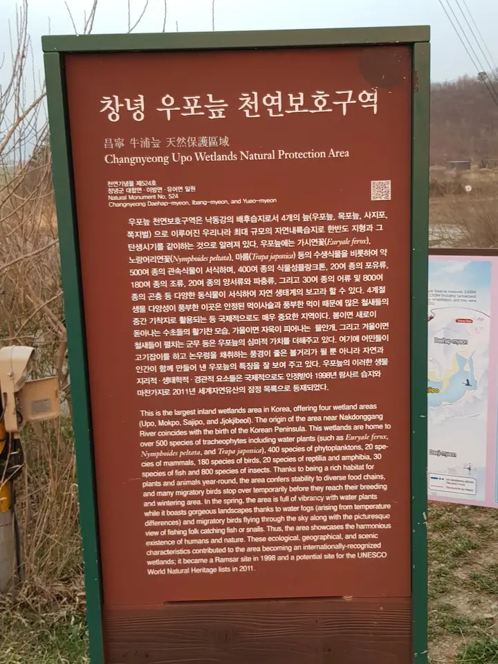(4점) 창녕 우포늪에 떨어지는 해를 보러 가다 작업 사진 3