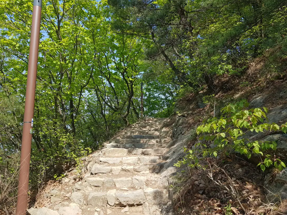 (앞산 등산 다이어트 1일차) 시작은 90kg입니다. 작업 사진 6
