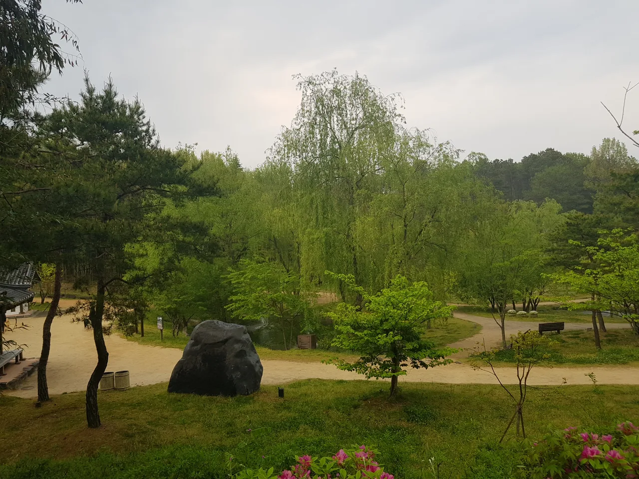 (5점) 전남 담양 '죽녹원' 이 정도는 되어야 대나무 숲이지~ 작업 사진 29