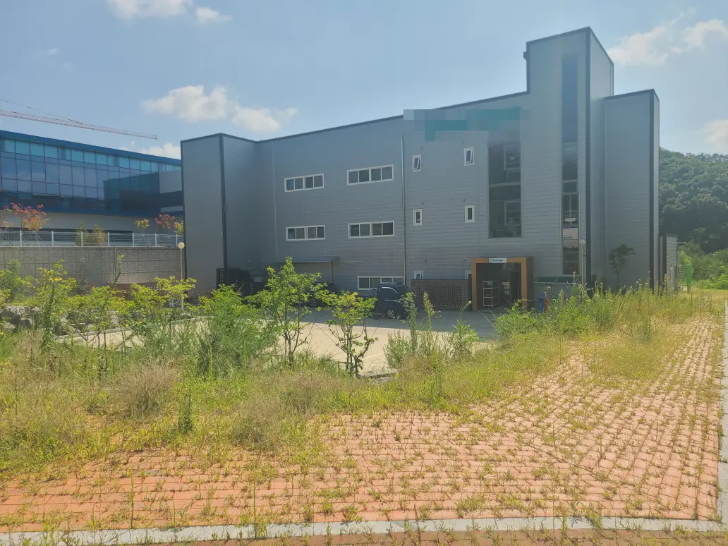 대구 동구 공장 화단 정리 및 인도 블럭 잡초 제거 작업. 작업 사진 6