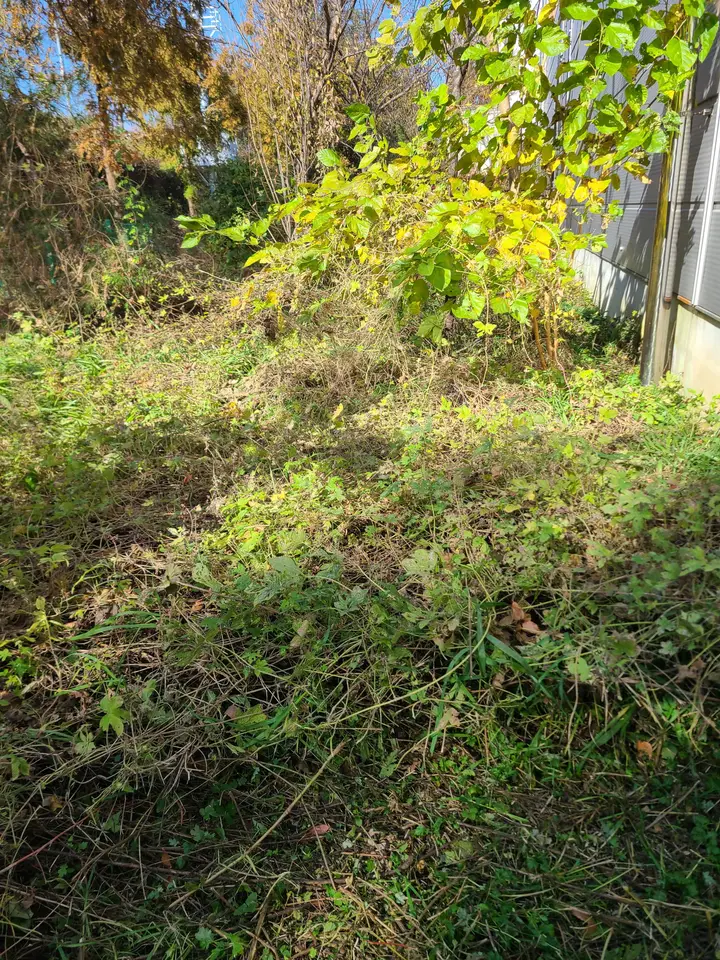 (공터, 나대지, 회사 벌초) 영천 도동, 임고면, 청통면, 대구 동구 벌초 후기. 작업 사진 9