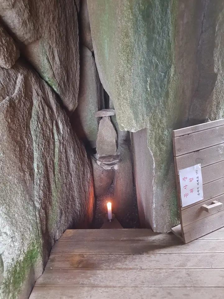 (5점) 대구 비슬산 참꽃. 비슬산자연휴양림 공영주차장->대견사 코스. 작업 사진 33