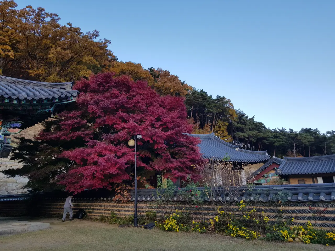 (4점) 영천시 청통면 팔공산 자락 천년고찰. '은해사' 걷기 좋은 곳. 작업 사진 10
