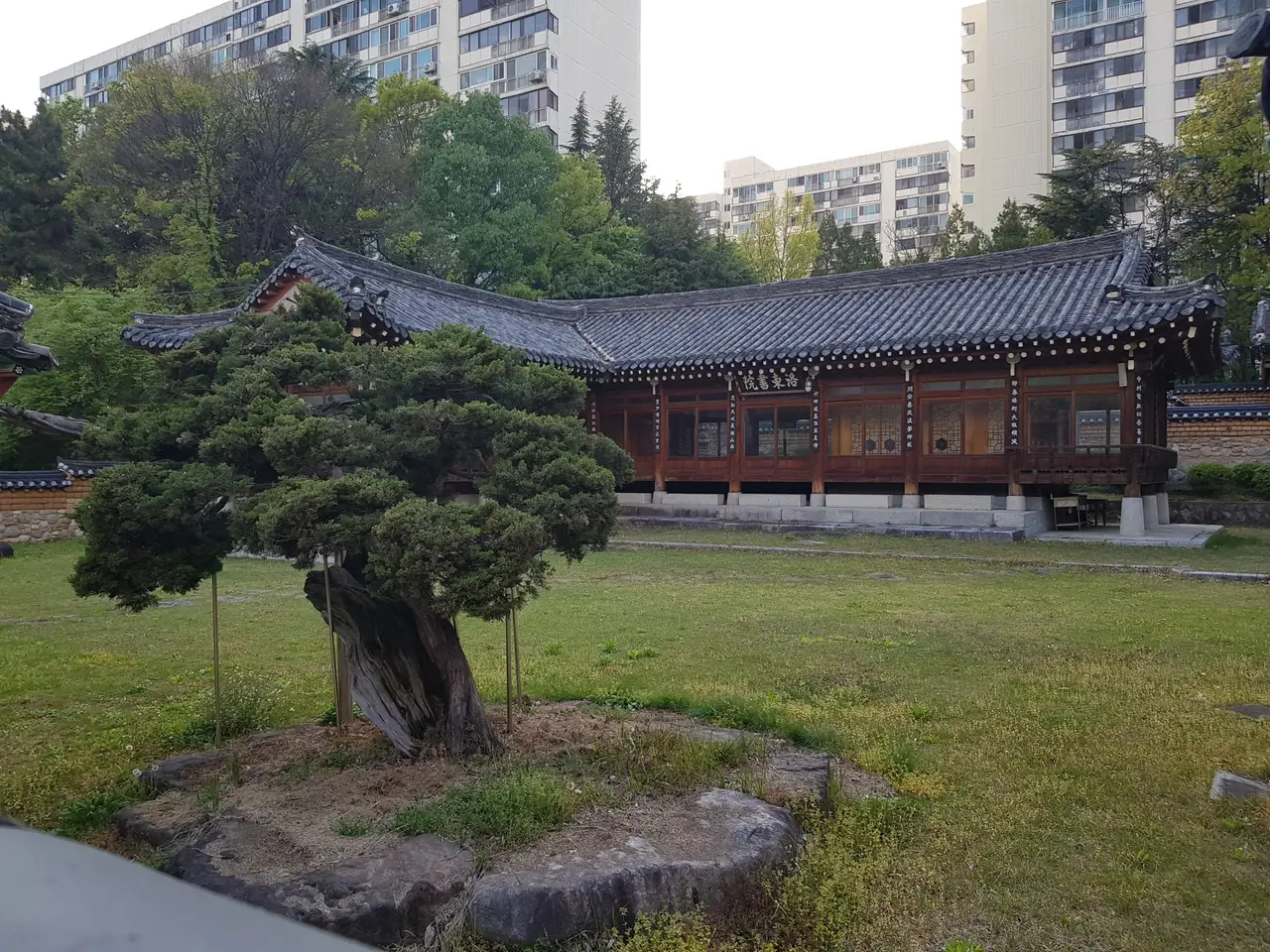 (4점) 대구 달서구 상인동 4월 겹벚꽃 보기 좋은 곳 '월곡역사공원' 작업 사진 17