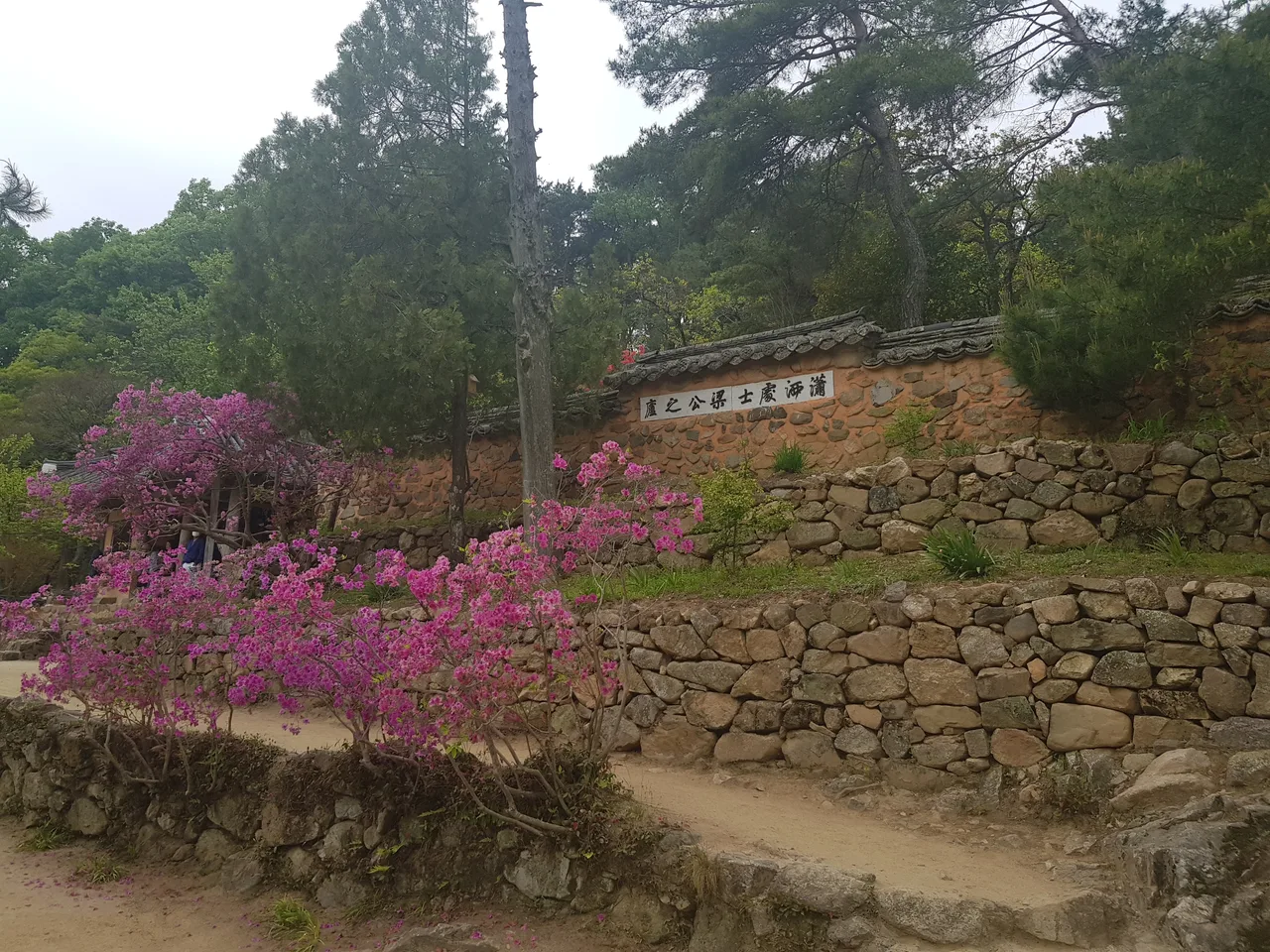 (4점) 전남 담양, 호남의 3대 정원 중 하나인 '양산보의 소쇄원'에 다녀오다 작업 사진 14