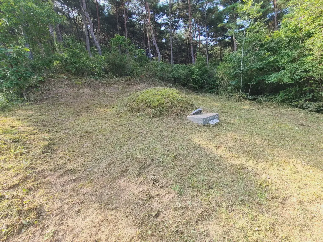 (벌초 대행) 영천시 고경면, 대창면, 북안면, 신녕면, 임고면, 청통면, 화남면, 화북면, 화산면 벌초 후기. 가격. 작업 사진 70