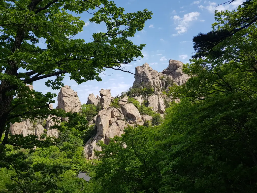 (5점) 6월 설악산 무박2일 등산 (오색->대청봉->소청->봉정암->영시암->백담사 코스) 작업 사진 23