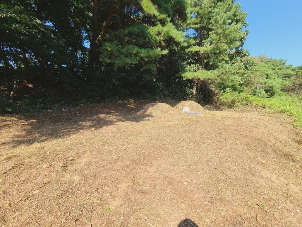 (벌초 대행) 영천시 고경면, 대창면, 북안면, 신녕면, 임고면, 청통면, 화남면, 화북면, 화산면 벌초 후기. 가격. 작업 사진 64