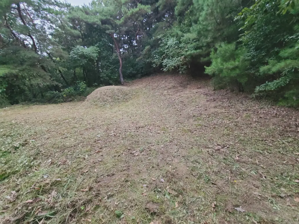 (벌초 대행) 영천시 고경면, 대창면, 북안면, 신녕면, 임고면, 청통면, 화남면, 화북면, 화산면 벌초 후기. 가격. 작업 사진 74