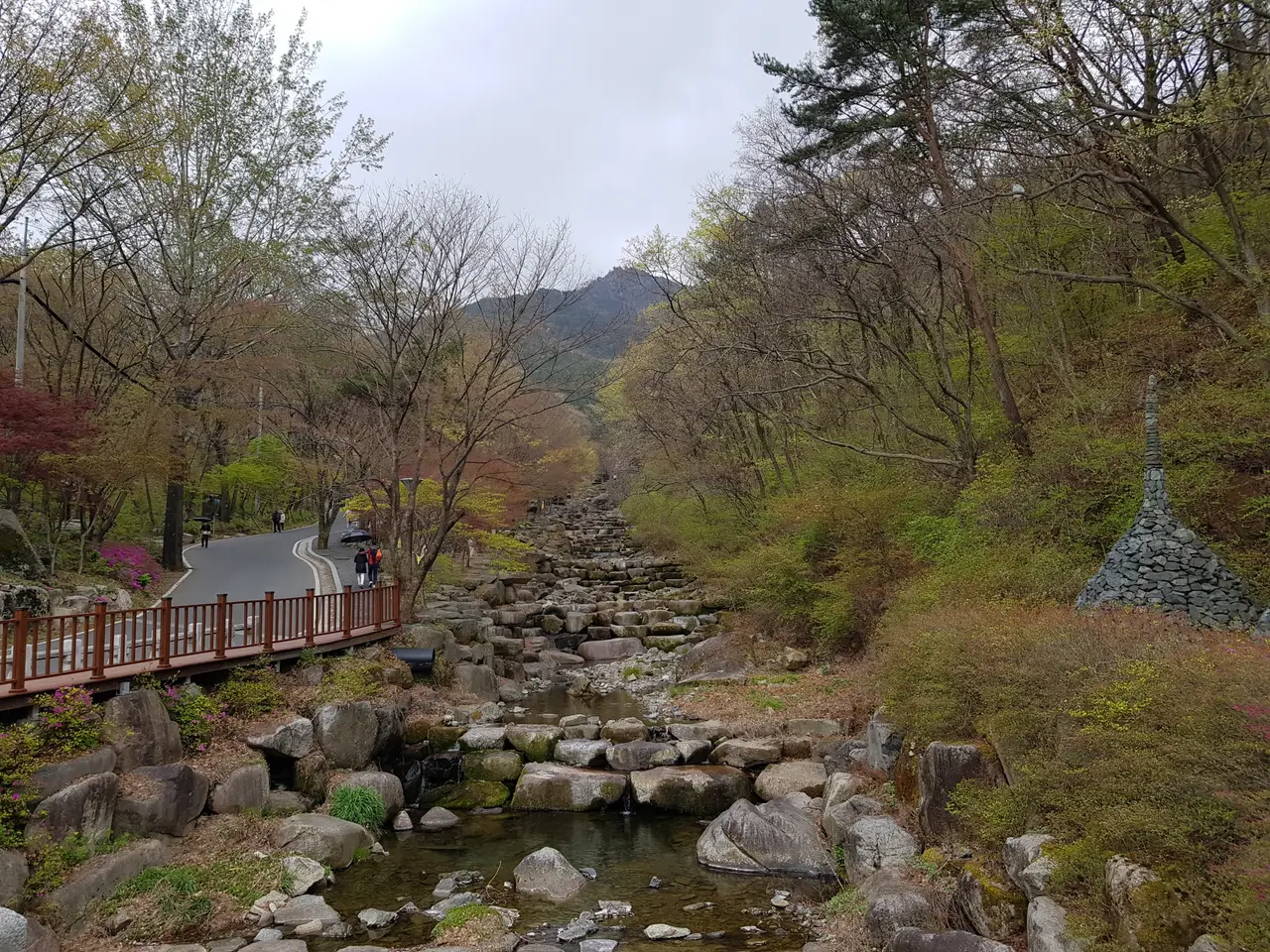 (5점) 대구 비슬산 참꽃. 비슬산자연휴양림 공영주차장->대견사 코스. 작업 사진 9